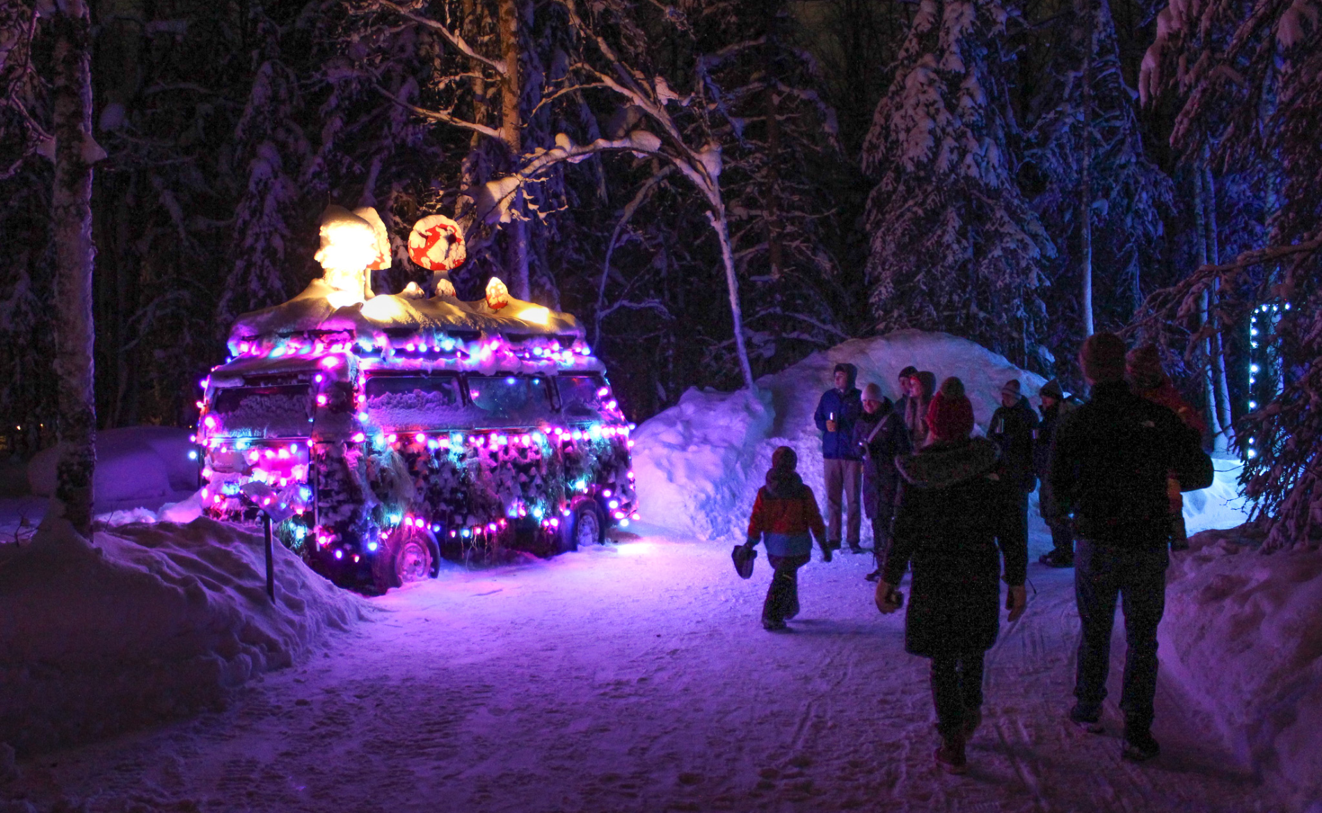 Brighter Winter Nights at the Alaska Botanical Gardens