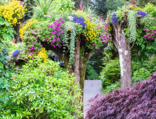 Enchanted Blooms of The Mendenhall’s Glacier Gardens Flower Towers