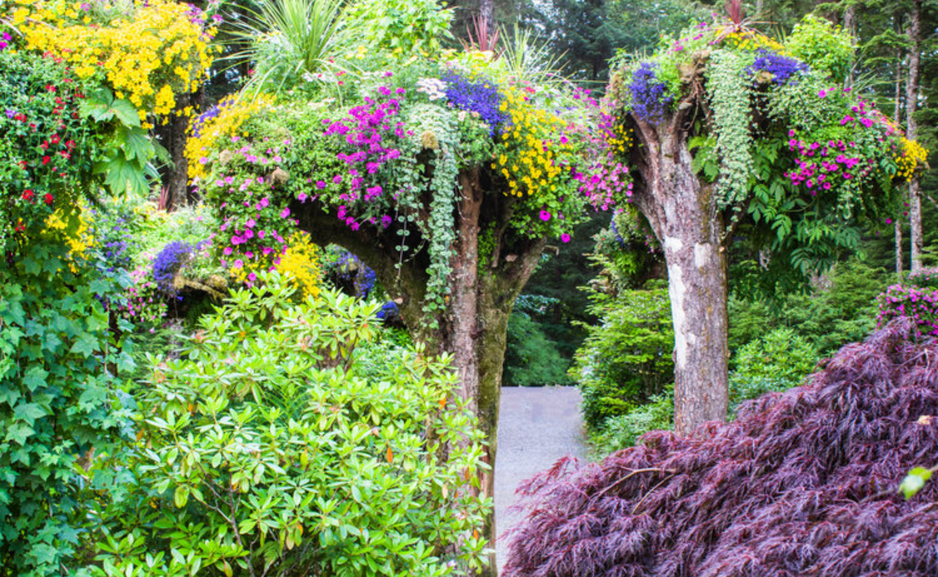 Enchanted Blooms of The Mendenhall's Flower Towers