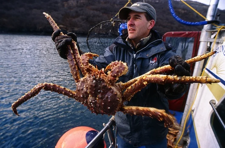 fisherman with king crab