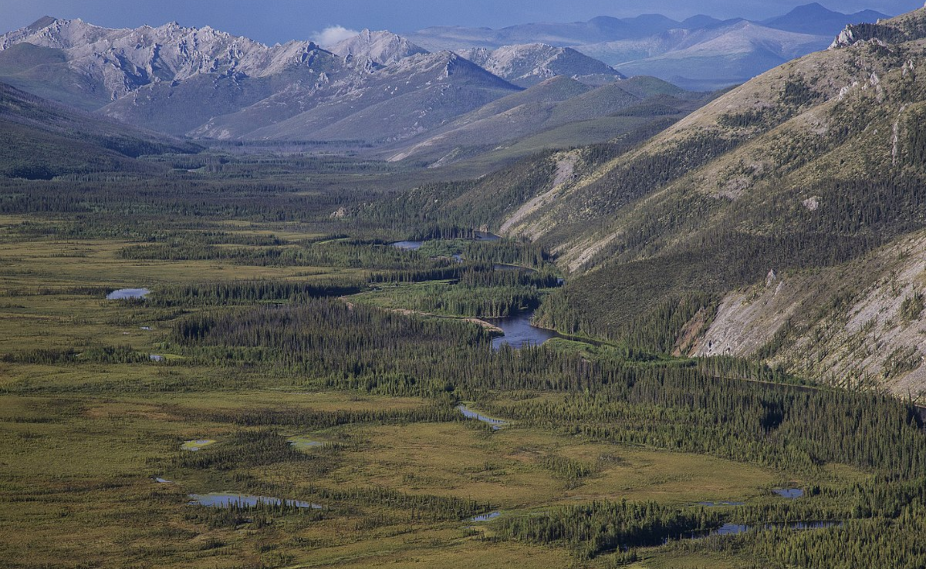 white mountains, alaska