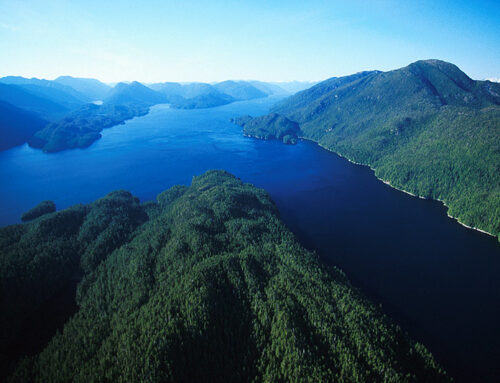 Exploring the Inside Passage