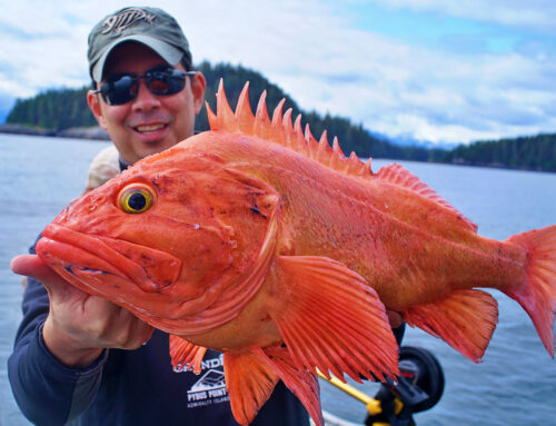 Rockfish – Alaska’s Remarkable Fish with Superb Culinary Flavor